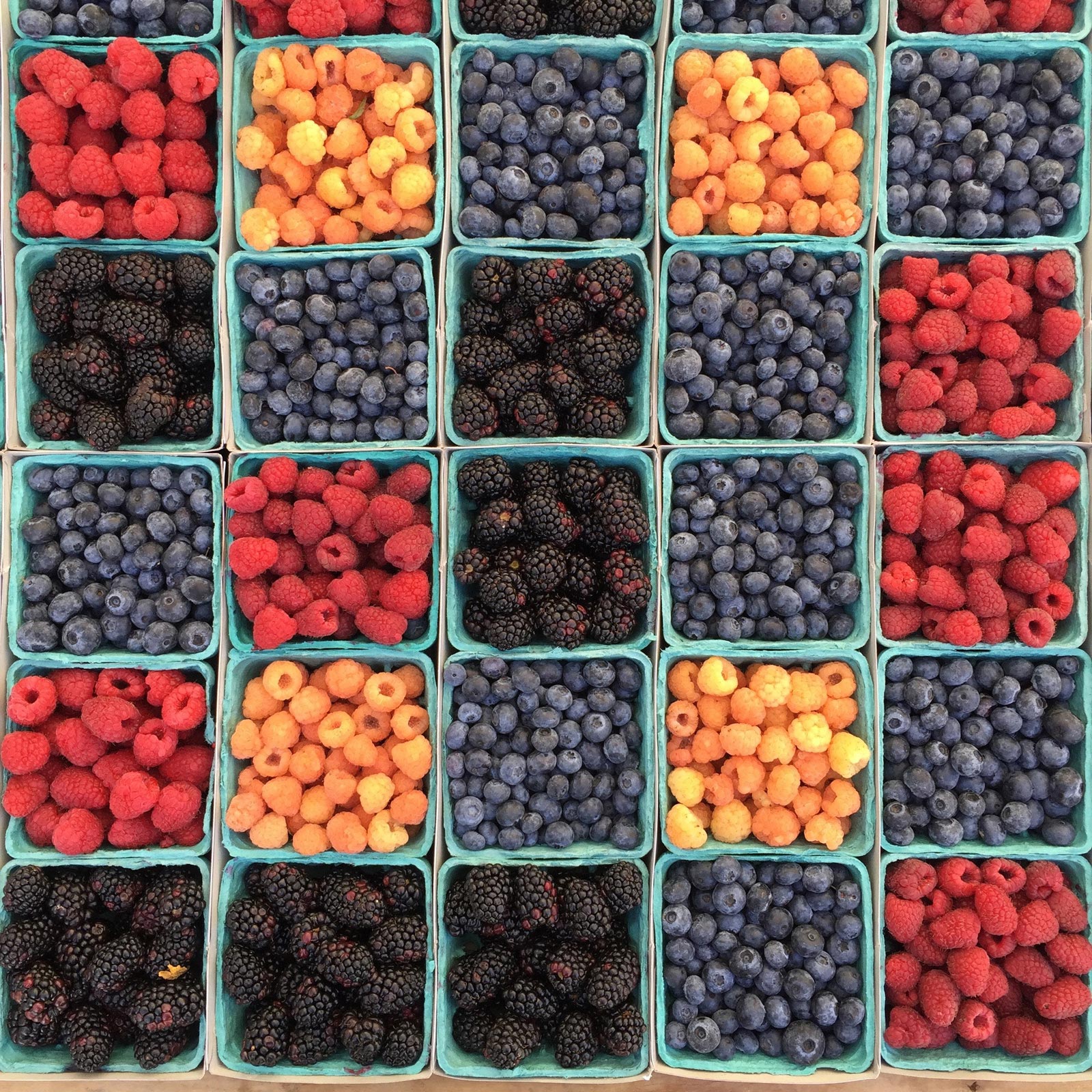 Berries are great for hearing nutrition